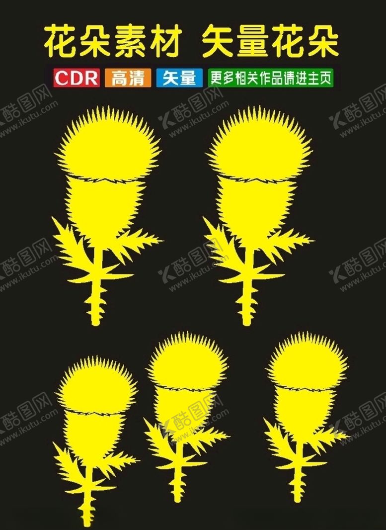 编号：85170510012250131771【酷图网】源文件下载-花朵植物插花朵