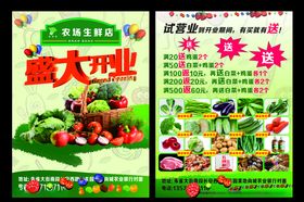 水果生鲜蔬菜超市开业活动彩页
