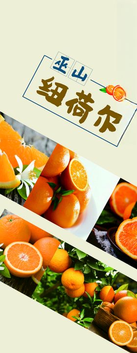 纽荷尔