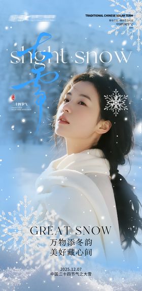 医美私密美业大雪节气海报