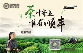 茶园海报