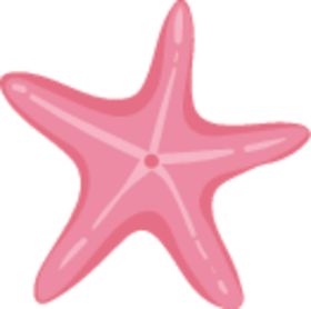 海星