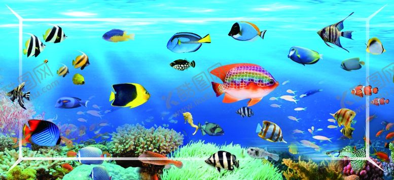 编号：36999010141848359864【酷图网】源文件下载-海洋鱼水族馆