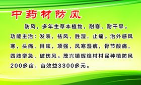 中药材