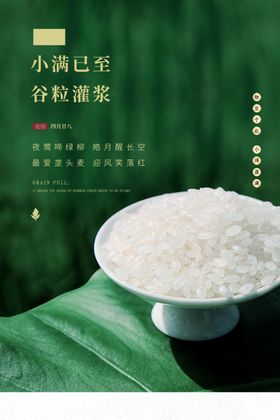 小满传统节日活动宣传海报素材
