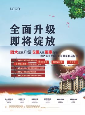 绽放