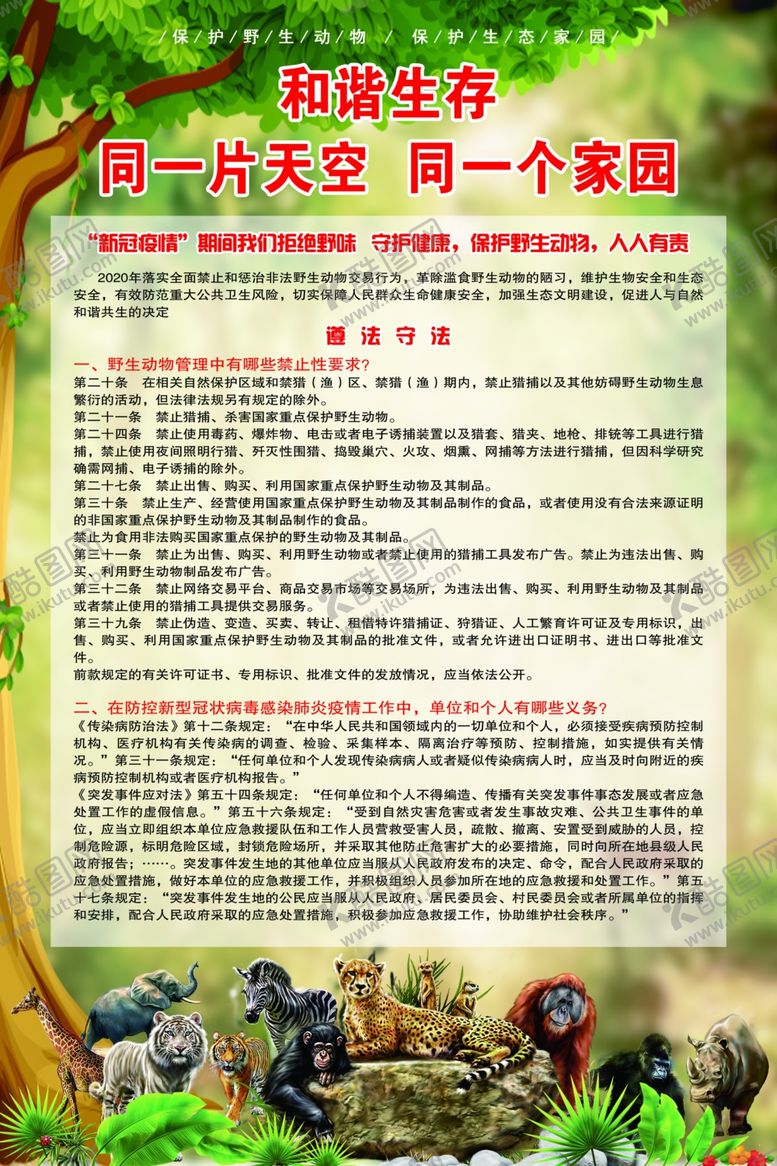 编号：25098005071440554690【酷图网】源文件下载-野生动物保护