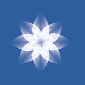 白花