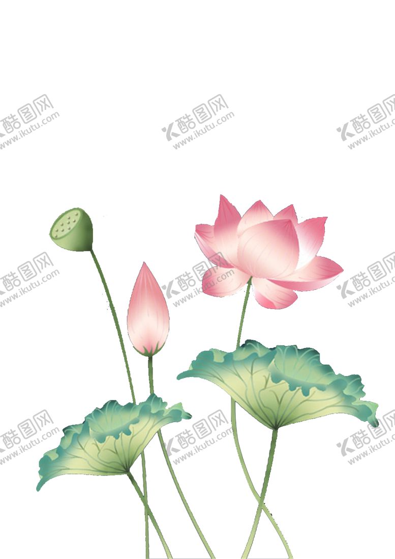 编号：88790204171412435765【酷图网】源文件下载-荷花元素
