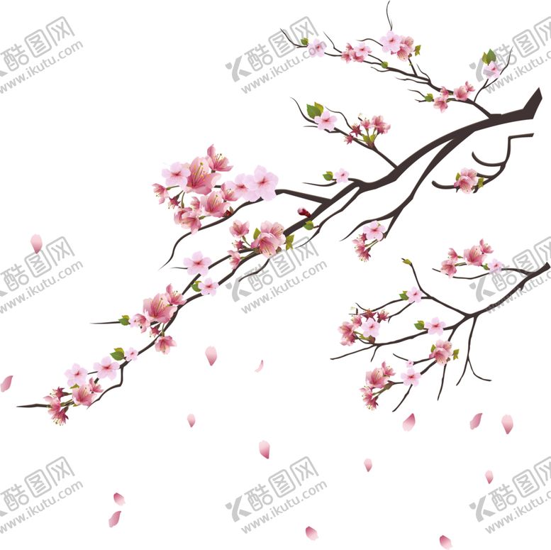编号：47289407131111392767【酷图网】源文件下载-梅花