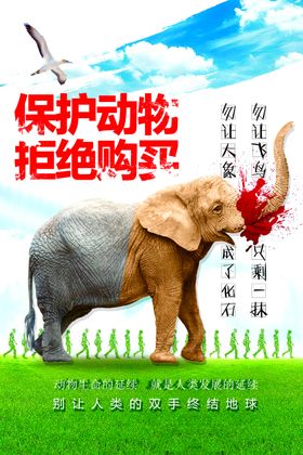保护动物