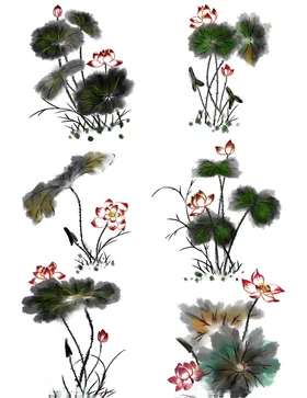 中国风水墨荷花