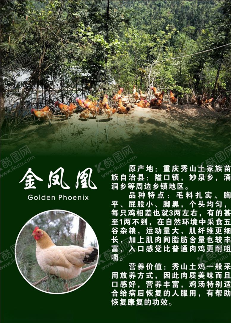 编号：41385809202041465573【酷图网】源文件下载-土鸡专卖