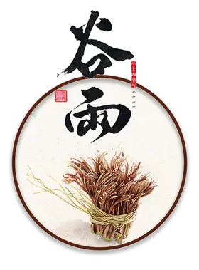 谷雨画册装饰画灯片广告