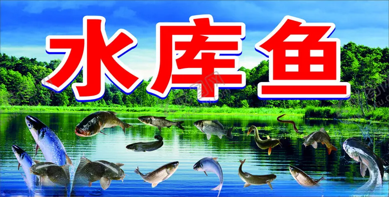 编号：93535102160705035219【酷图网】源文件下载-水库鱼