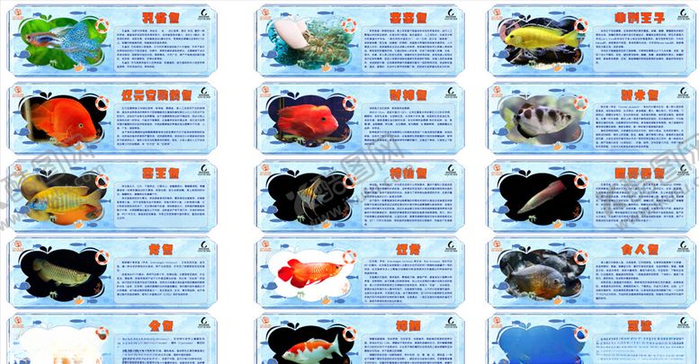 编号：53591105190427218754【酷图网】源文件下载-海洋生物简介海洋鱼鱼