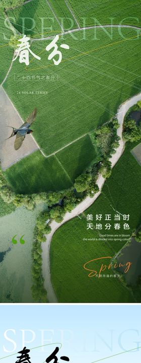 春分节气海报燕子日系列二十四