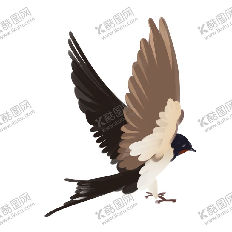 编号：25533007130739226480【酷图网】源文件下载-立春燕子插画