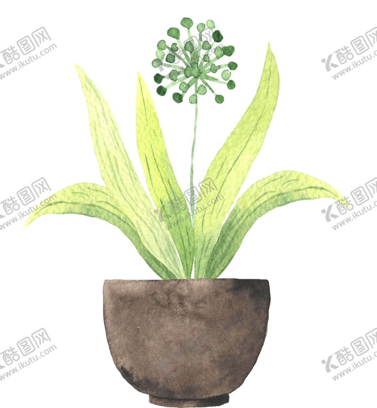 编号：76675609180826113143【酷图网】源文件下载-绿色家庭植物