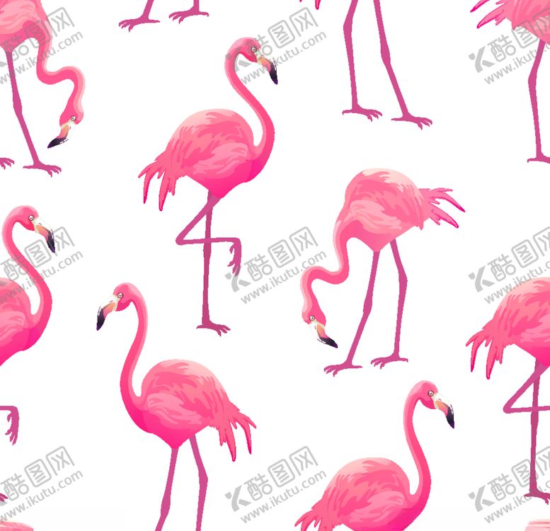 编号：68253810102352107924【酷图网】源文件下载-火烈鸟