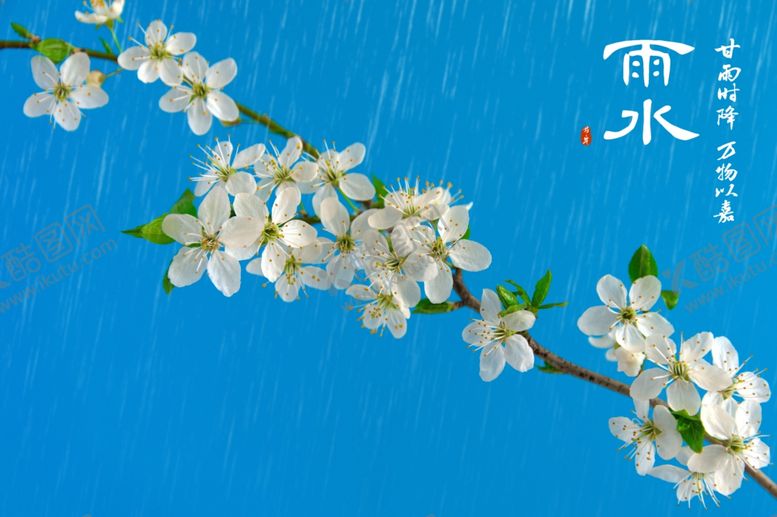 编号：36995212230315308679【酷图网】源文件下载-雨水