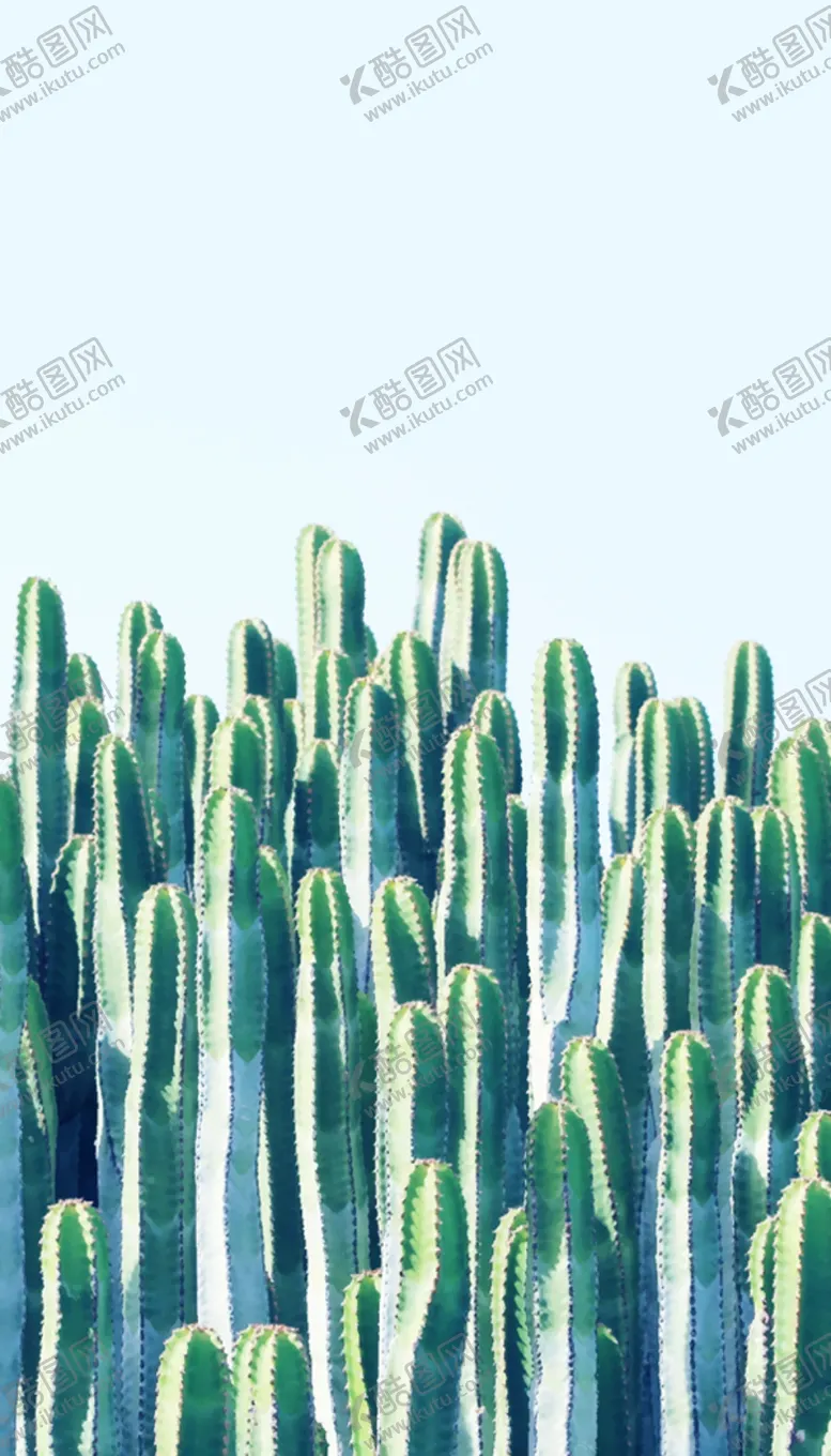 小清新卡片退换货售后名