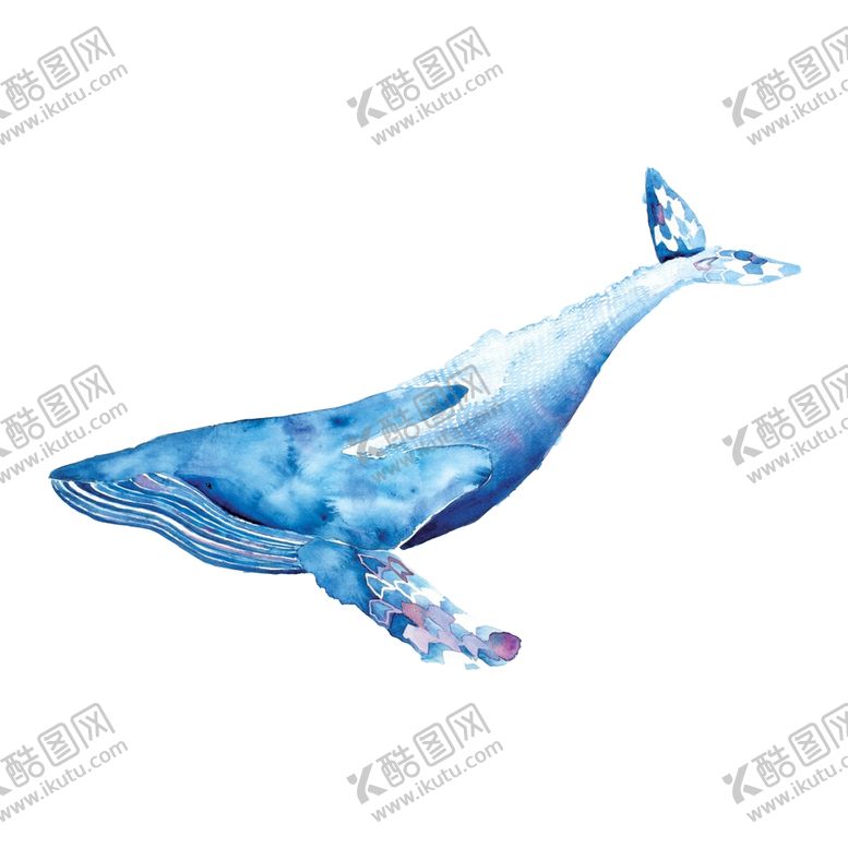 编号：44344904170639361978【酷图网】源文件下载-鲸鱼