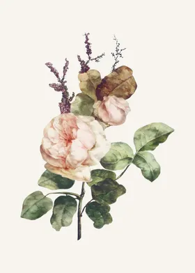 花服装设计无缝连接卉手绘