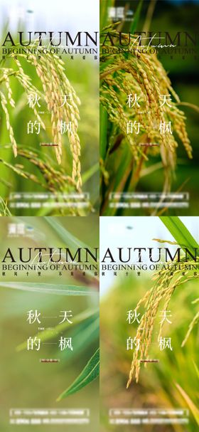 立秋秋分节气海报
