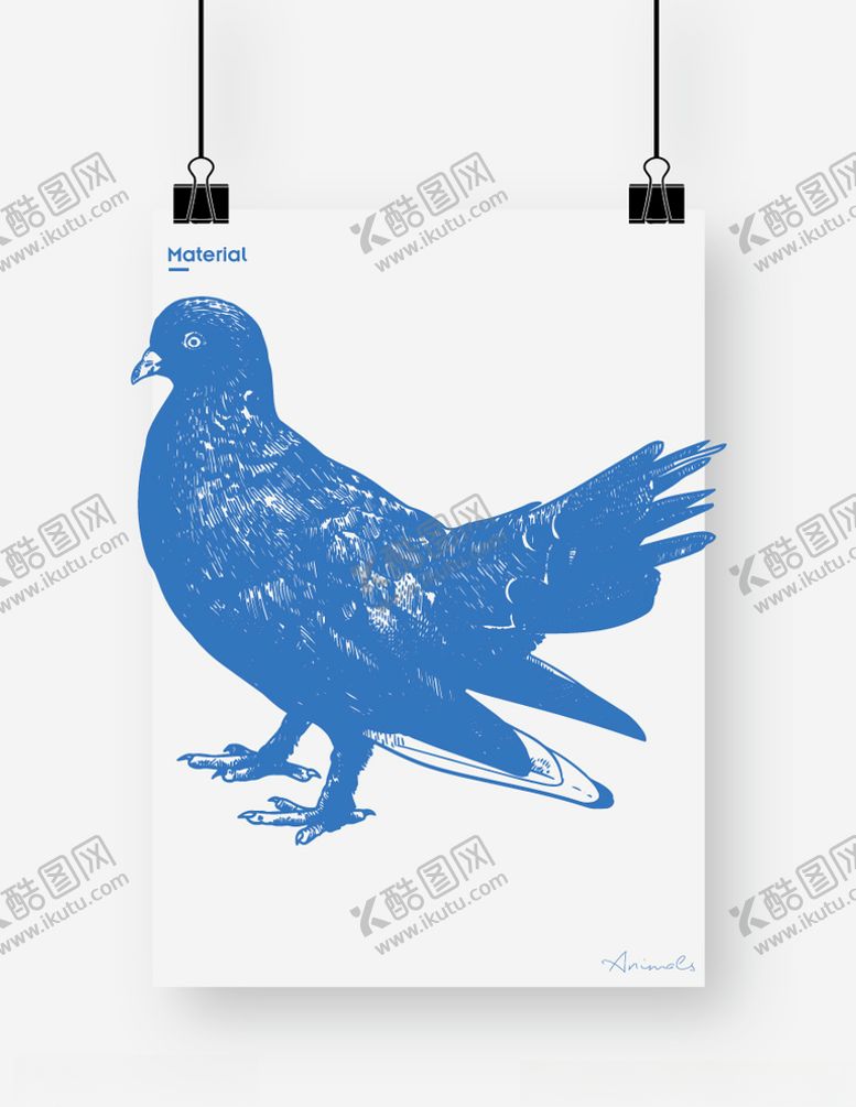 编号：81385410120631511296【酷图网】源文件下载-鸽子