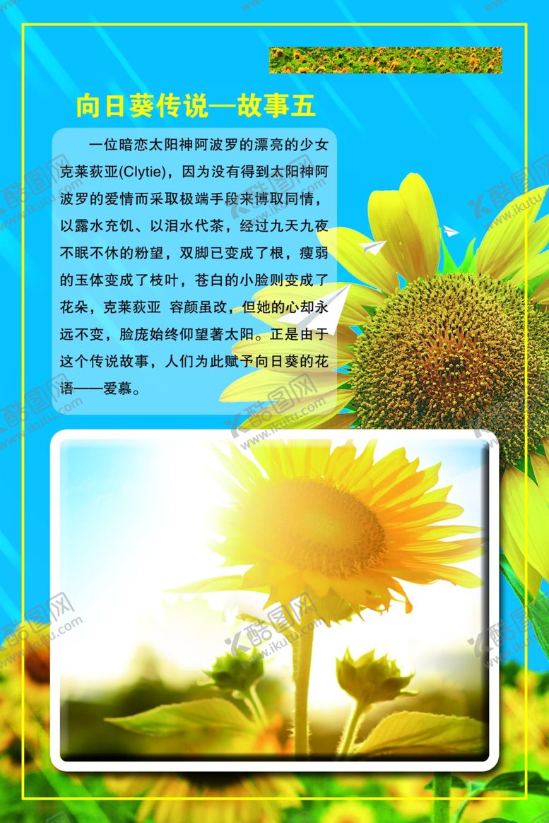 编号：97126105060036237284【酷图网】源文件下载-向日葵传说