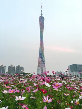 城市建筑广州塔夜景晚霞唯美设计