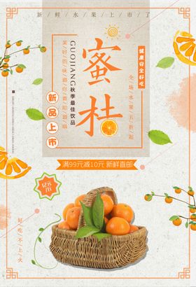 蜜桔采摘