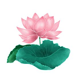 荷花元素