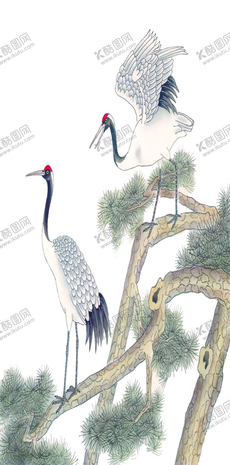 编号：50180810180019354747【酷图网】源文件下载-丹顶鹤