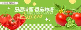 番茄物语西红柿背景板