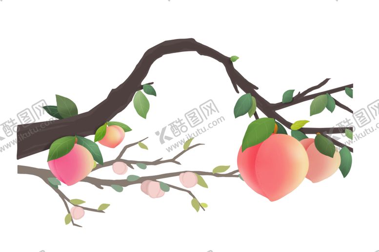 编号：45444202071453281635【酷图网】源文件下载-桃子插画  