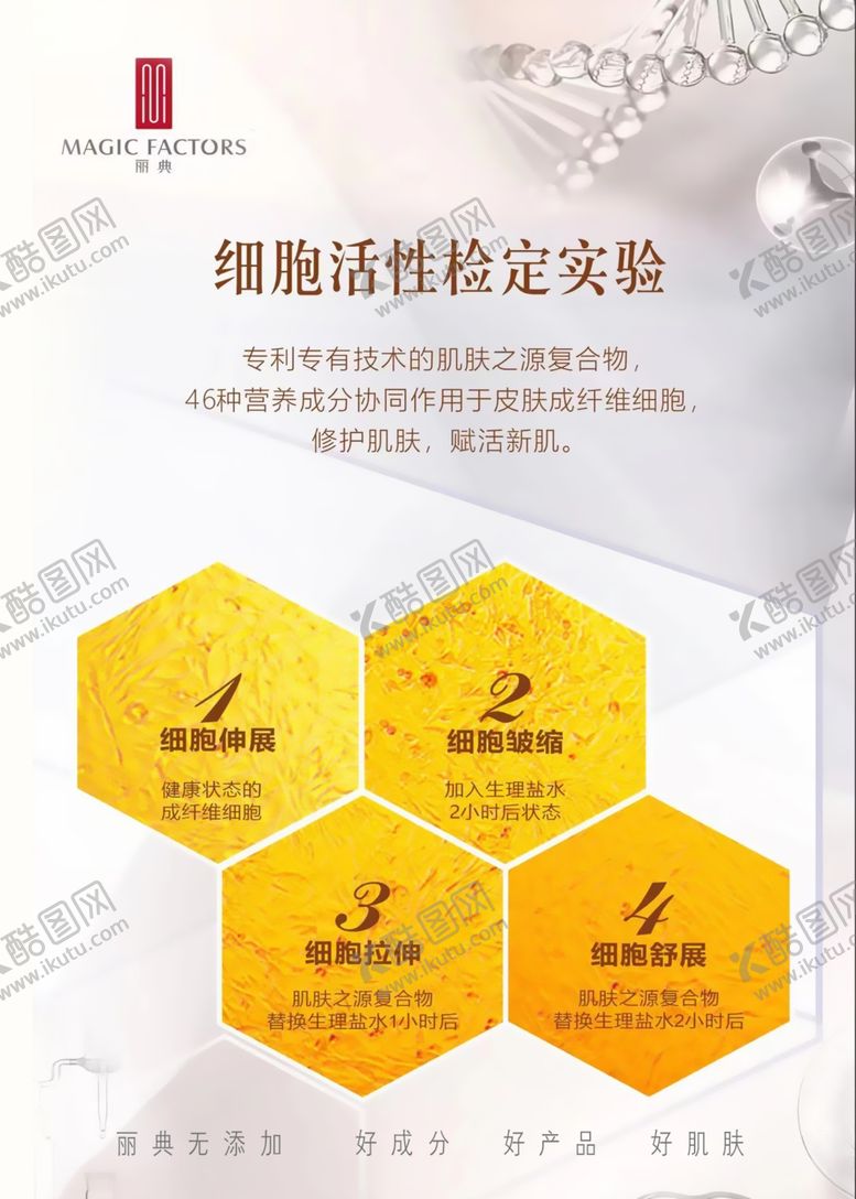 编号：30087912251849122726【酷图网】源文件下载-细胞活性检定实验海报