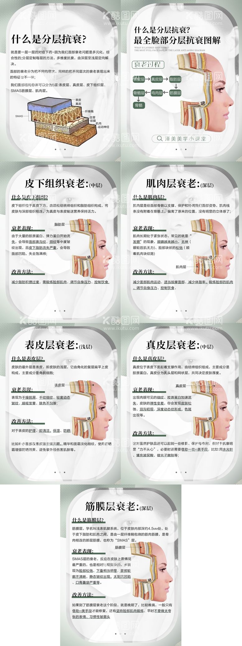 编号：74251111182359184615【酷图网】源文件下载-医美知识美学小课堂分层抗衰分解图