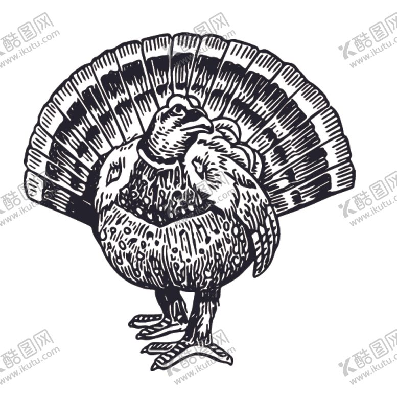 编号：41491710060432352943【酷图网】源文件下载-飞鸟线稿绘画图案