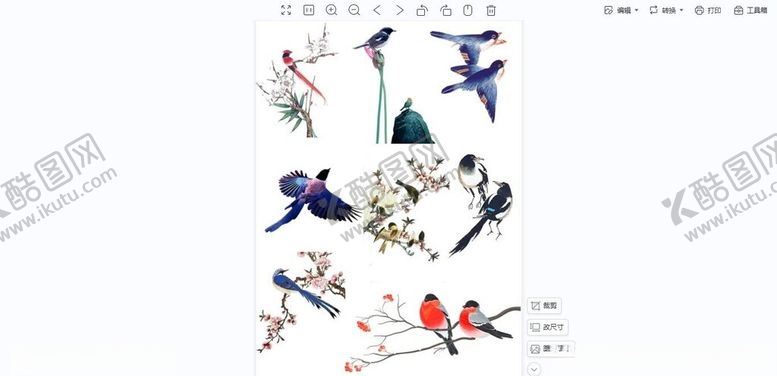 编号：60420902201407022121【酷图网】源文件下载-鸟免抠素材