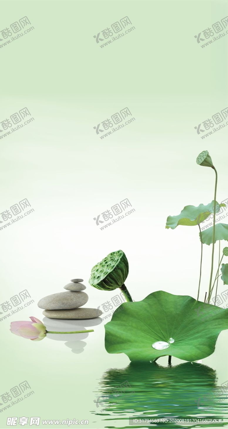 编号：60180205150751171677【酷图网】源文件下载-荷花背景