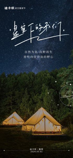 星空下的我们露营活动海报