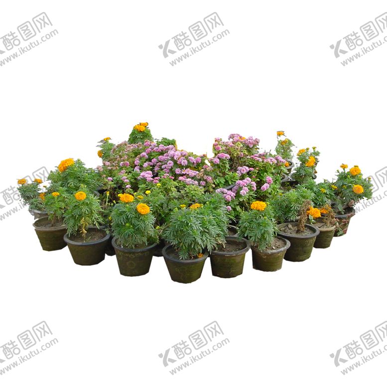 编号：88243610300440069080【酷图网】源文件下载-绿色植物