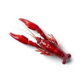 龙虾海鲜麻辣小食物