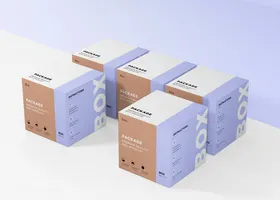 纸箱样机