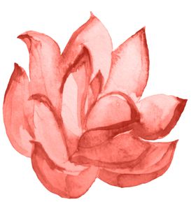 水彩植物花朵装饰