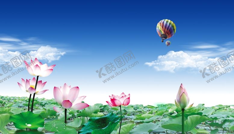 编号：95480704160608575834【酷图网】源文件下载-国画荷花