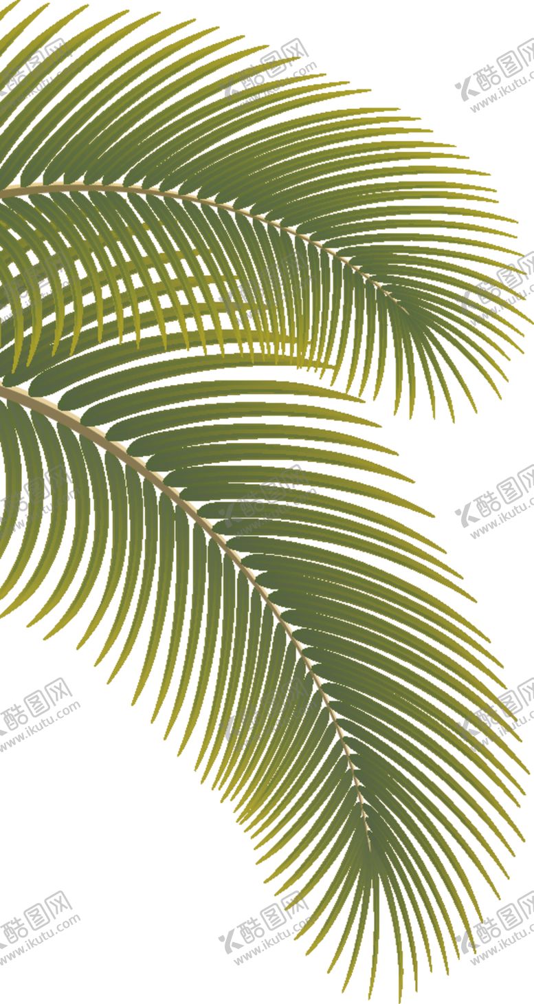 编号：48984610012003316916【酷图网】源文件下载-树叶