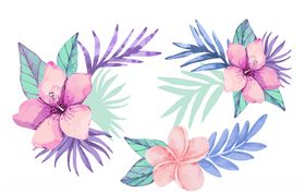 线条矢量手绘花草